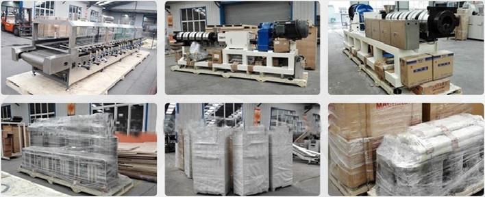 Pet Chews Food production line